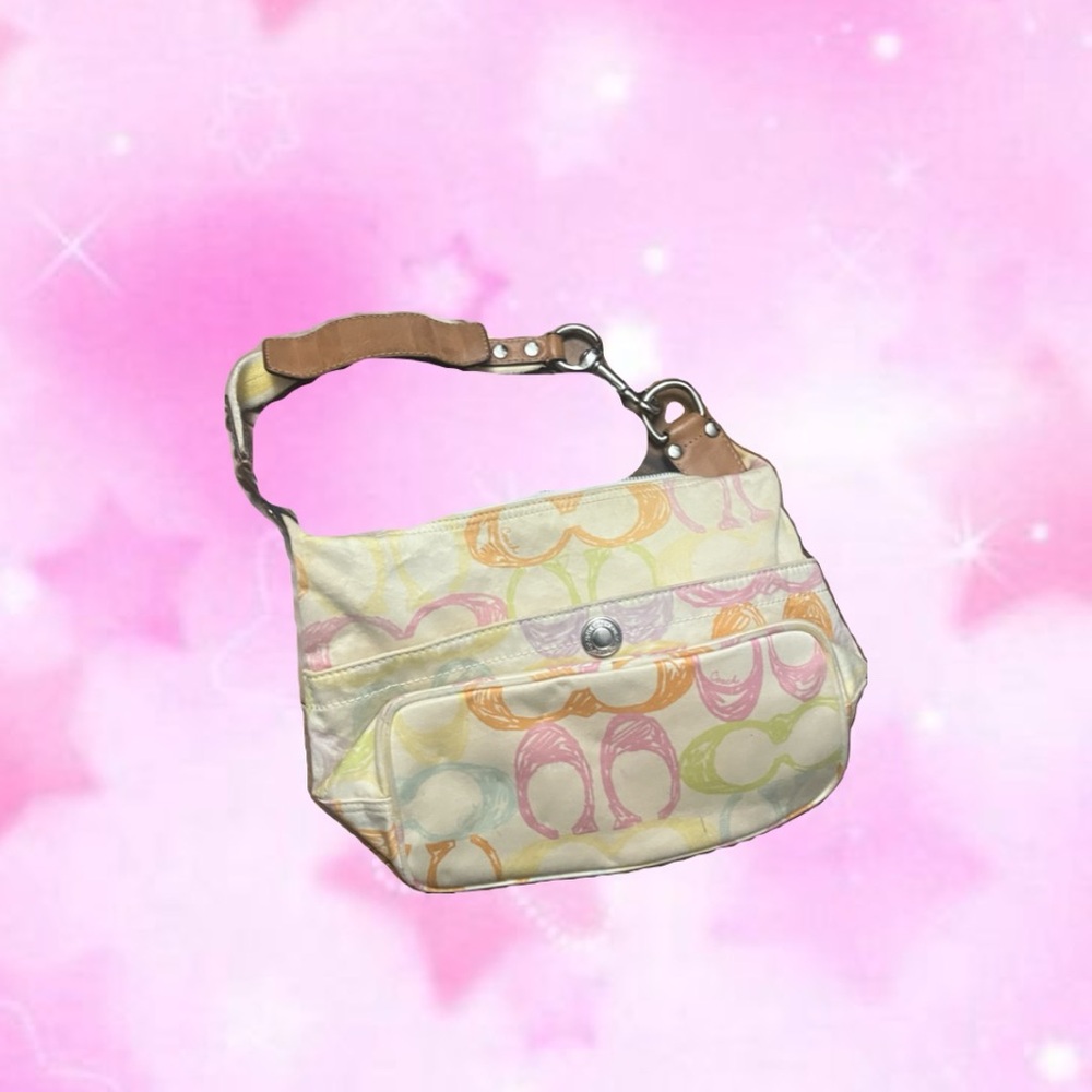 Multicolor Designer Women's Bag